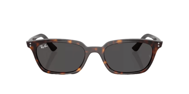 Unisex sunčane naočale RAY BAN ZAYA RB4456 135987: havana okvir, siva  stakla