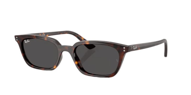 Unisex sunčane naočale RAY BAN ZAYA RB4456 135987: havana okvir, siva  stakla